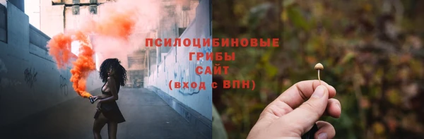 ГАЛЛЮЦИНОГЕННЫЕ ГРИБЫ Зеленокумск