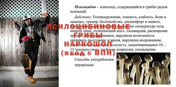 ГАЛЛЮЦИНОГЕННЫЕ ГРИБЫ Зеленокумск